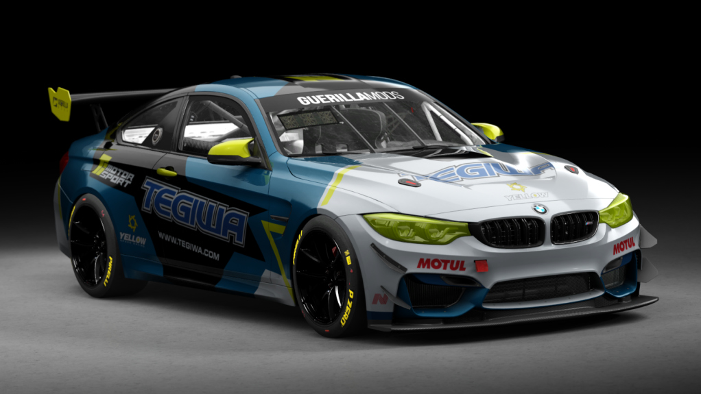 BMW M4 GT4, skin tegiwa