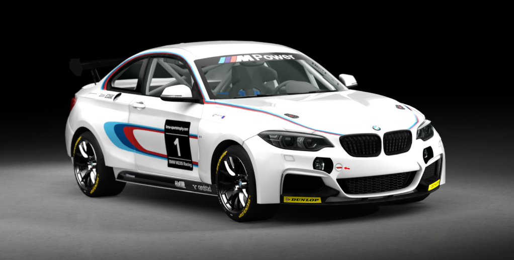 BMW M240i Cup, skin racing_1