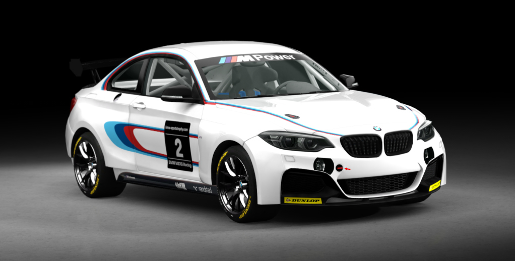 BMW M240i Cup, skin racing_2
