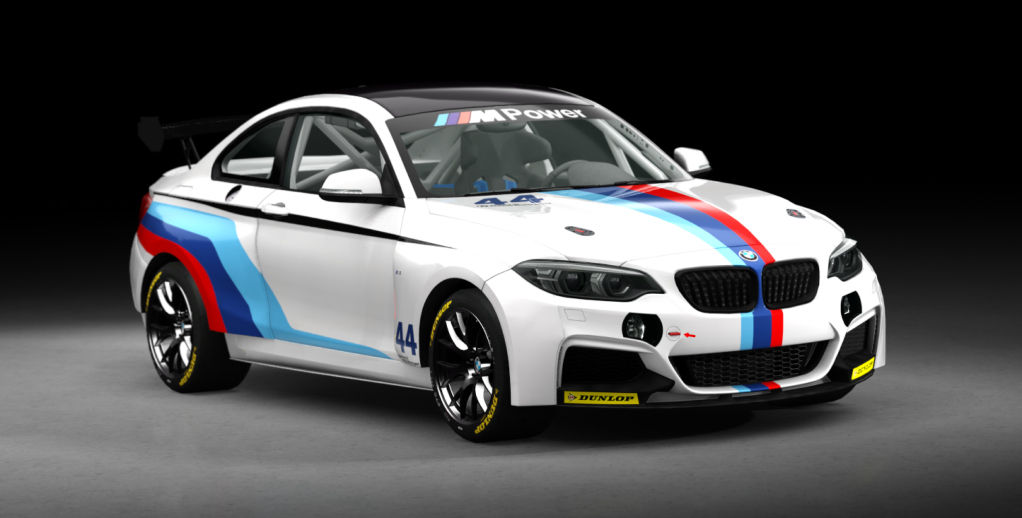 BMW M240i Cup, skin racing_44