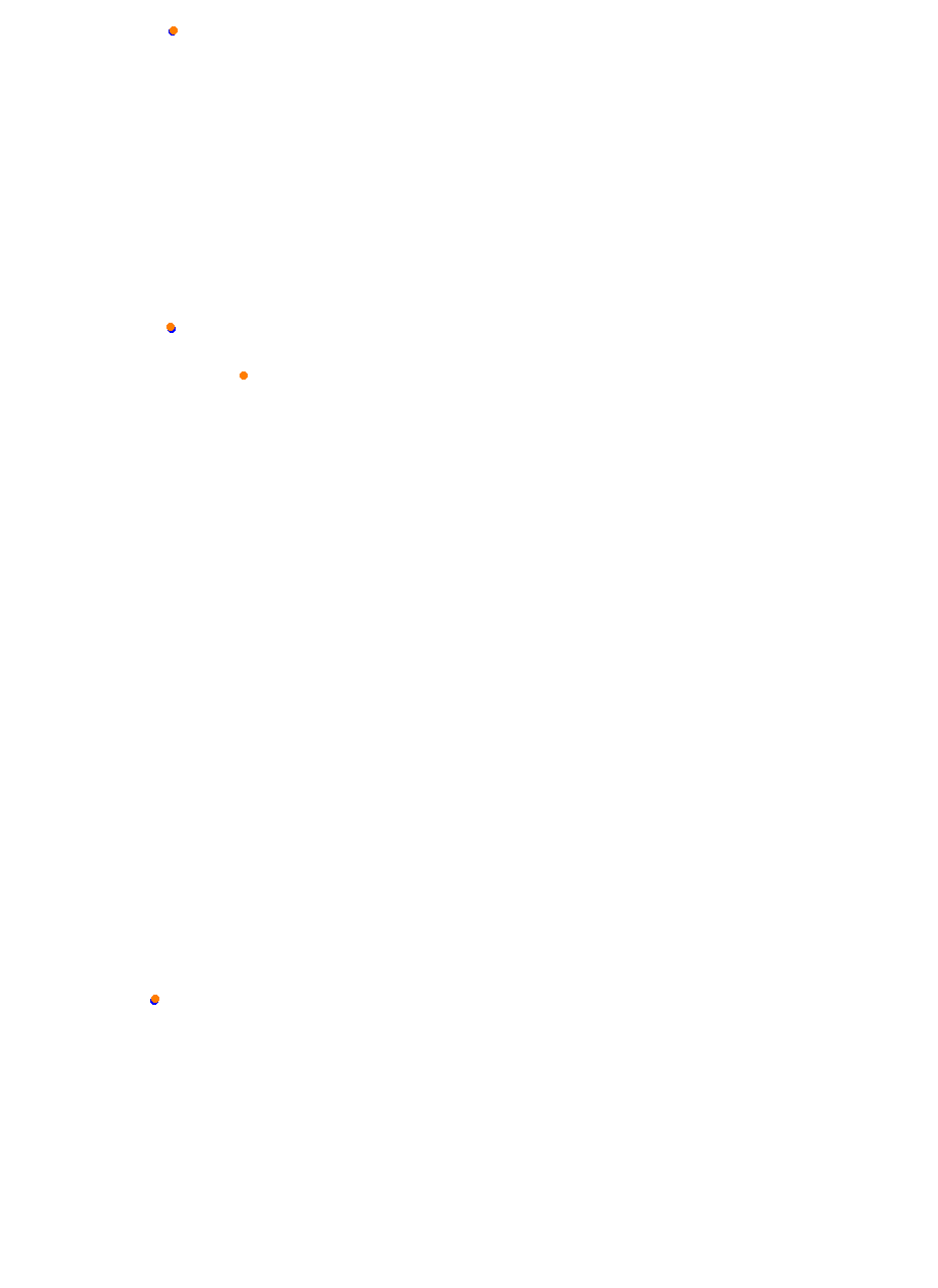 Nemuno Ziedas Fast Lap collisions