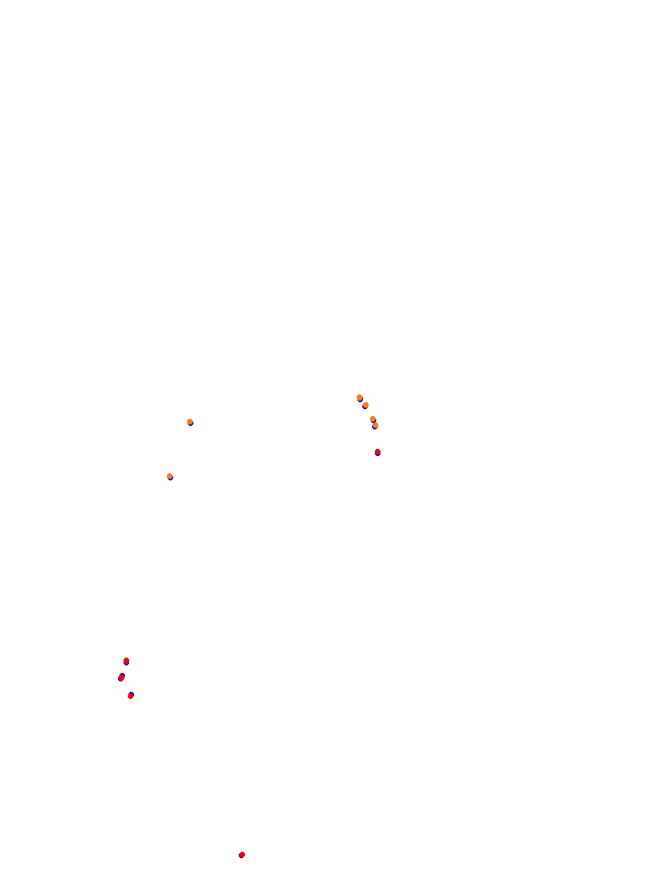 Nemuno Ziedas Fast Lap collisions