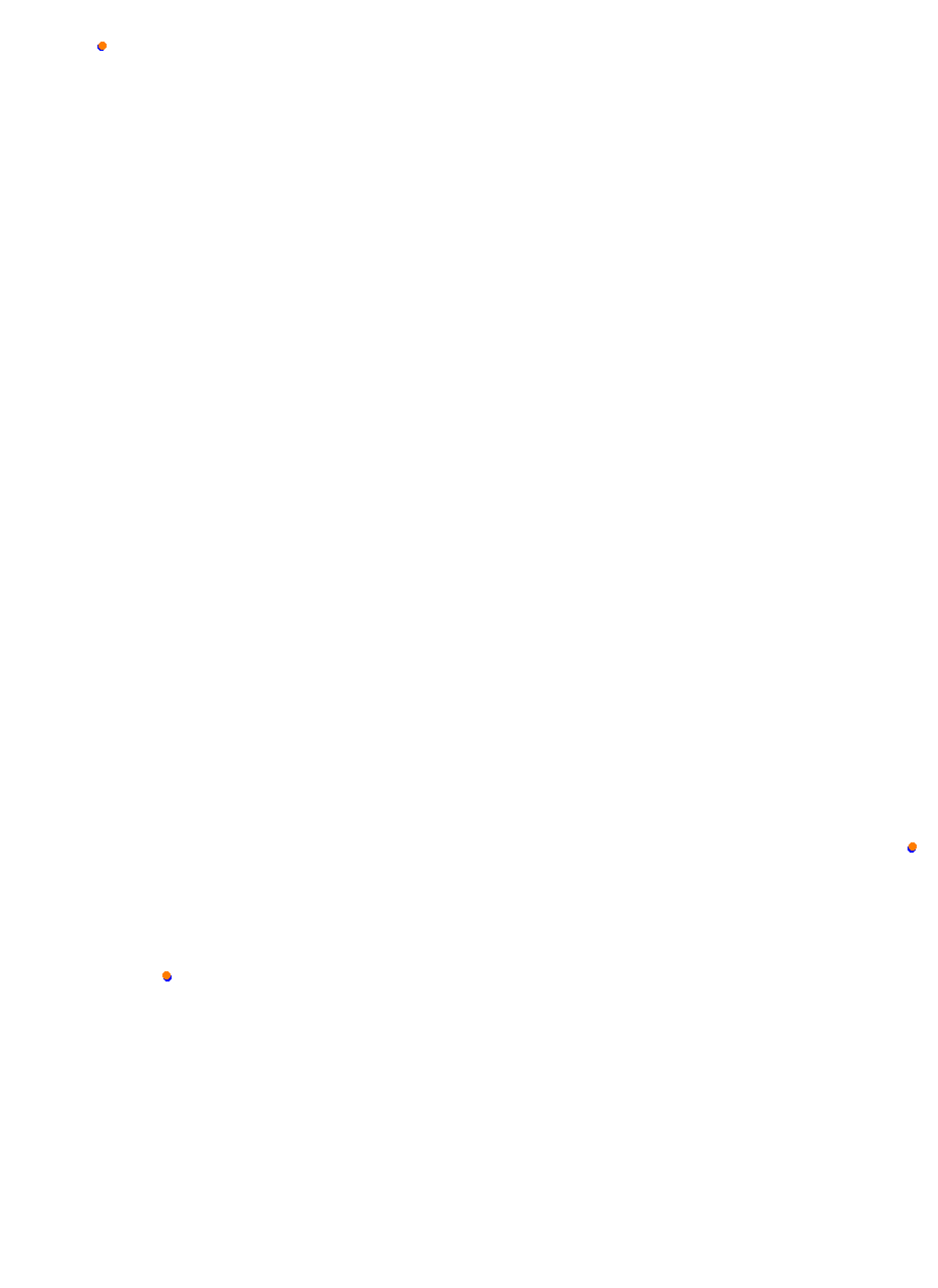 Nemuno Ziedas Fast Lap collisions